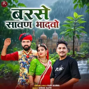 Barse Sawan Bhadvo image