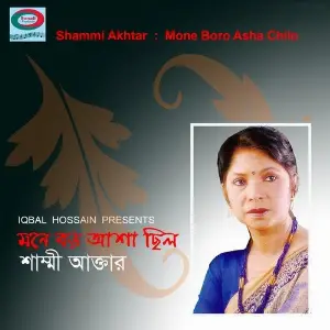 Mone Boro Asha Chilo image