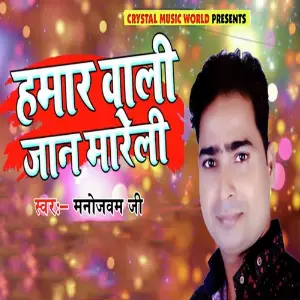 Hamar Wali Jaan Mareli image