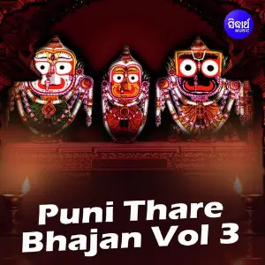 Puni Thare Bhajan - Vol. 3 image