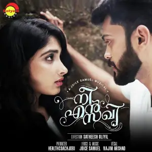 Aararo Niyaro (Ni En Sakhi) image