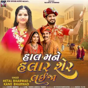 Hal Mane Halar Sher Laija image