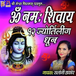 Om Namah Shivay Dhun image