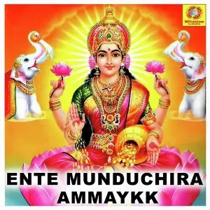 Ente Munduchira Ammaykk image