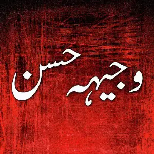 Wajhi Hasan image