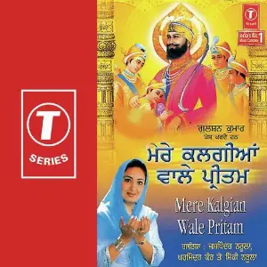 Mere Kalgian Wale Pritam image
