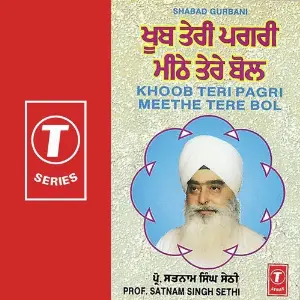 Khoob Teri Pagri Meethe Tere Bol image