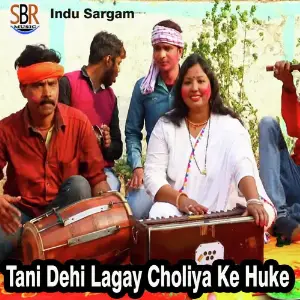Tani Dehi Lagay Choliya Ke Huke image