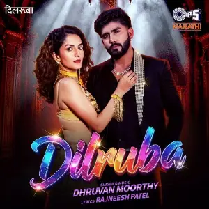 Dilruba image
