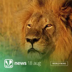 Tuesday, July 28th,  2015 - News Update image