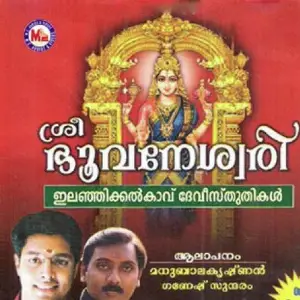 Sreebhuvaneswari image