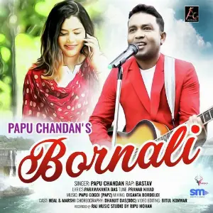 Bornali image
