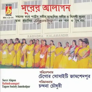 Surer Alapan image
