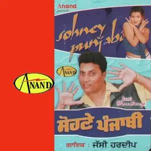 Sohney Punjabi image