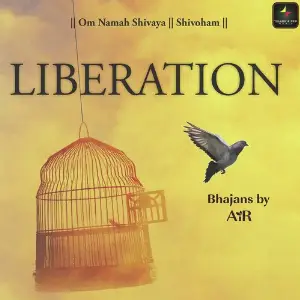 Liberation image