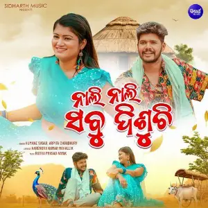 Nali Nali Sabu Disuchi image