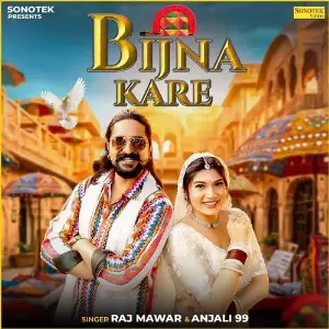 Bijna Kare image