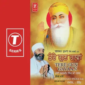 Tere Gun Gavaan (Vol. 25) image