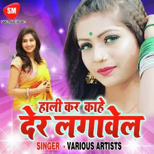 Hali Kar Kahe Der Lagawa image