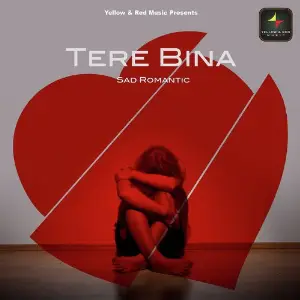 Tere Bina image
