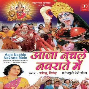 Aaja Nachle Navraate Mein image