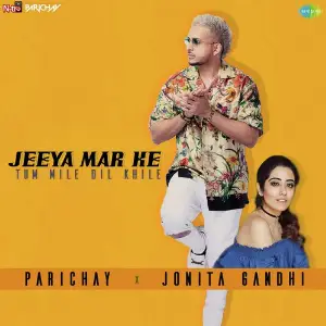 Jeeya Mar Ke Tum Mile Dil Khile image
