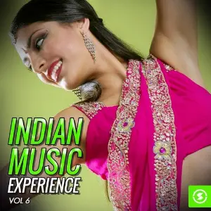 Indian Music Experience, Vol. 6 image