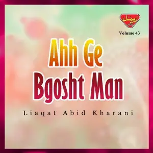Ahh Ge Bgosht Man, Vol. 43 image