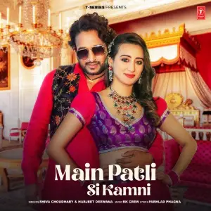 Main Patli Si Kamni image