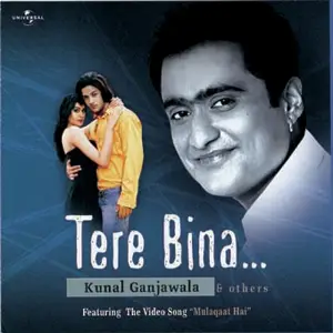 Tere Bina.... image