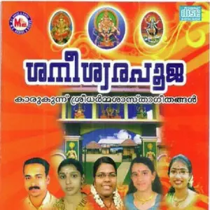 Saneeswarapooja image