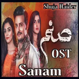 Sanam (From Sanam) image