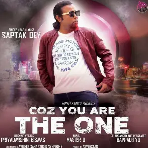 Coz You Are The One image