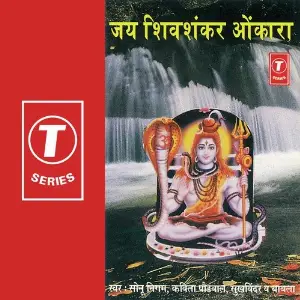 Jai Shiv Shankar Onkara image