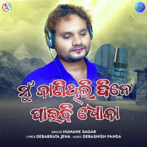 Mun Janithili Dine Paibi Dhoka image