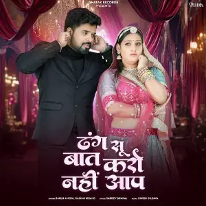 Dhang Su Baat Karo Nahi Aap image
