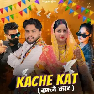 Kache Kat image
