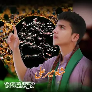 Asmaan Walo Se Pocho Martaba Abbas AS Ka image