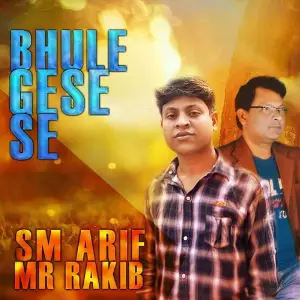 Bhule Gese Se image