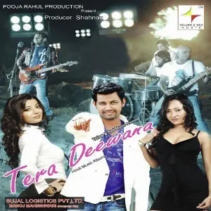 Tera Deewana image