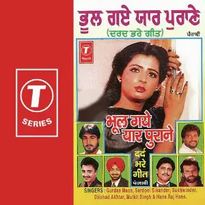Bhul Gaye Yaar Purane image