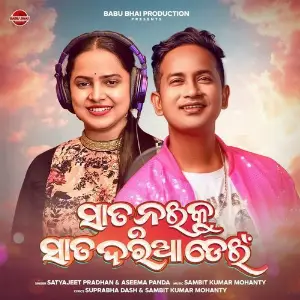 Sata Naiku Sata Daria Dein image