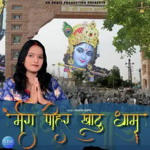 Mera Pihar Khatu Dhaam - Single image