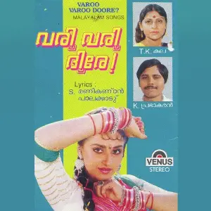 Varoo Varoo Doore image
