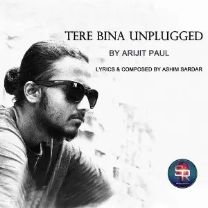 Tere Bina (Unplugged) - Single image