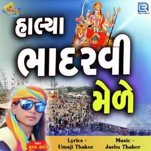 Halya Bhadarvi Mele image