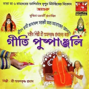 Gitee Puspanjoly image