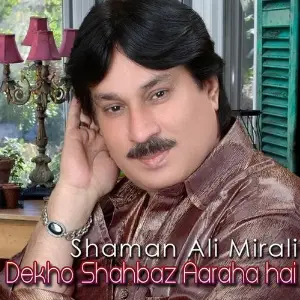 Dekho Shahbaz Aaraha Hai image