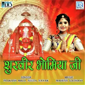 Surveer Bhomiya Ji image