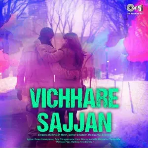 Vichhare Sajjan image
